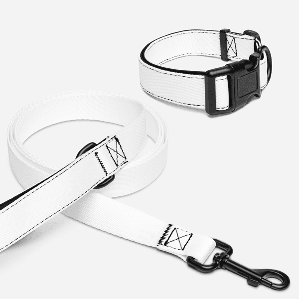 Collar y Correa para Mascota