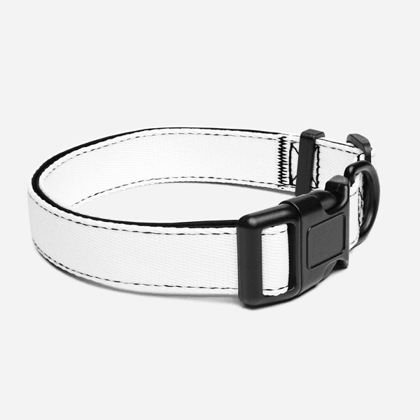 Collar Personalizado para Mascota